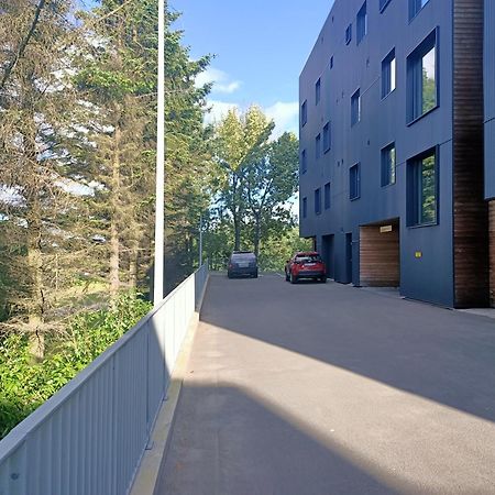 Puffin Nest, Superior Apartment Reikiavik Exterior foto
